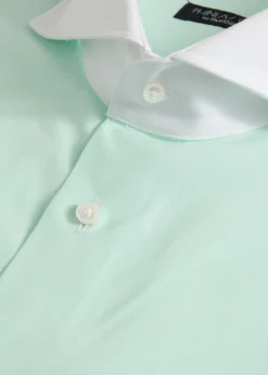 Contrast Collar Cotton Dress Shirt