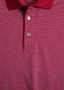 Italian Cotton Micro Stripe Polo