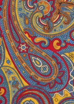 Printed Silk Paisley Pocket Square