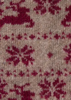 Reindeer & Snowflake Sock