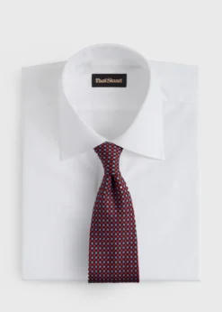 Silk Micro Star Tie