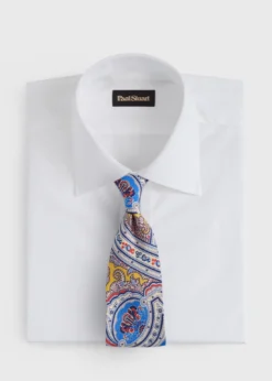 Silk Ornamental Paisley Tie