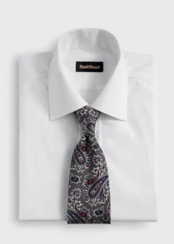 Silk Ornamental Paisley Tie