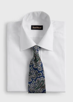 Silk Ornamental Paisley Tie