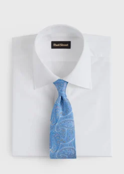 Silk Tonal Paisley Print Tie