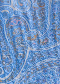 Silk Tonal Paisley Print Tie