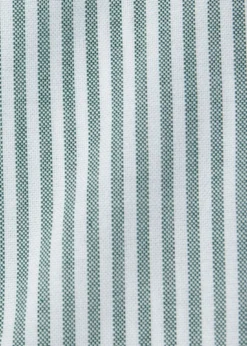 Stripe Oxford Sport Shirt