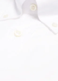 Super 140s Cotton Button Down Collar Dress Shirt